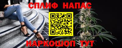 Альфа ПВП Гусев